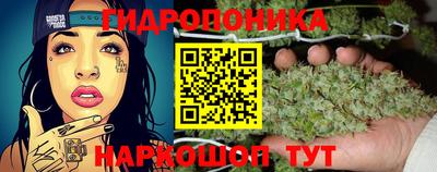 jwh Сланцы