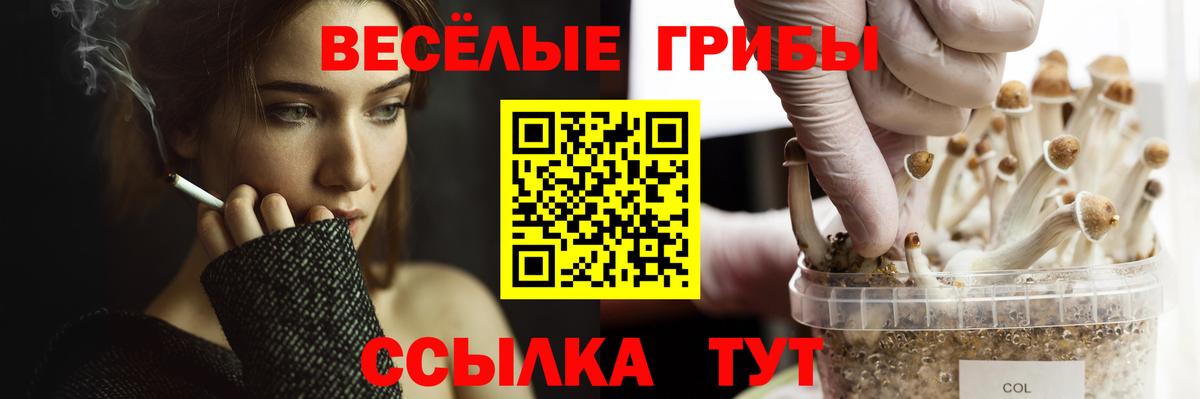 Псилоцибиновые грибы Psilocybe  продажа наркотиков  Новочебоксарск  Вход с VPN 
